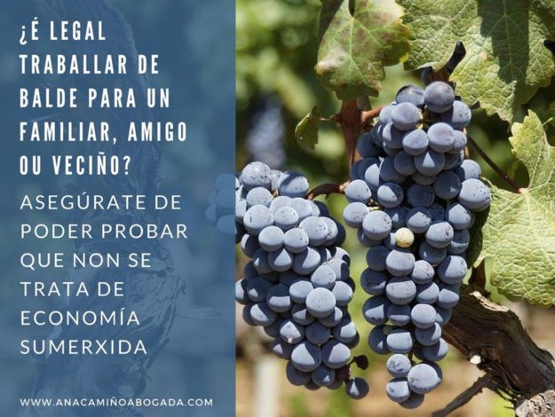 colaboración-en-la-cosecha_img15359t1m4w2100h1578