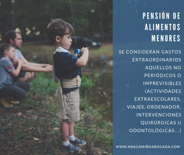 pension alimentos extraordinarios
