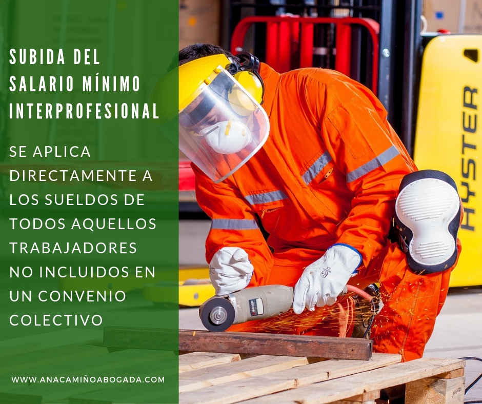 Salario mínimo interprofesional Salario mínimo interprofesional